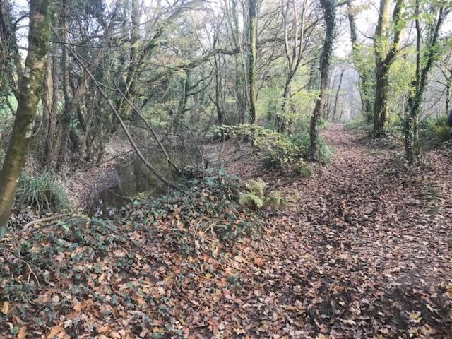 Riverside Stay Gunnislake Bagian luar foto