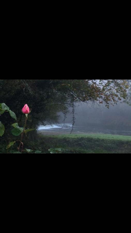 Riverside Stay Gunnislake Bagian luar foto