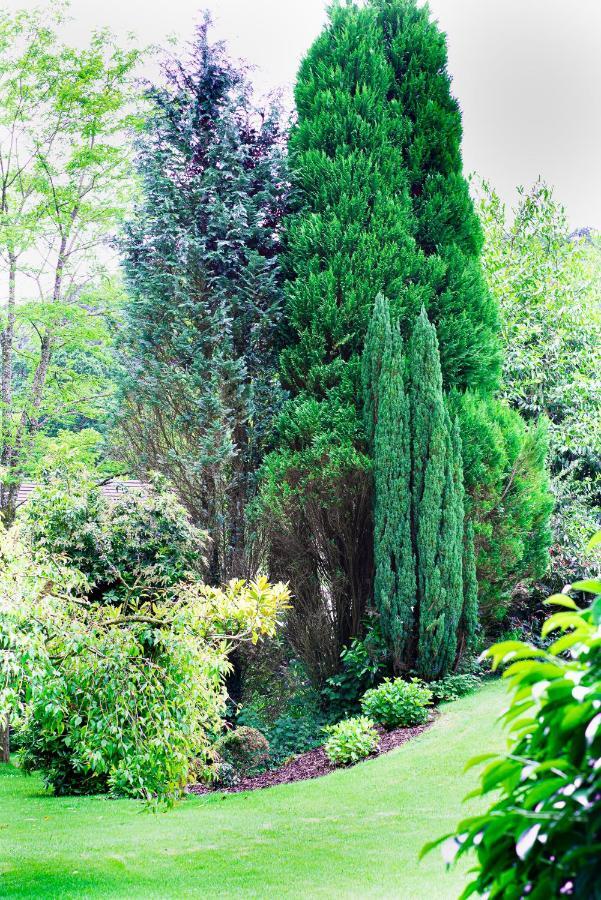 Riverside Stay Gunnislake Bagian luar foto